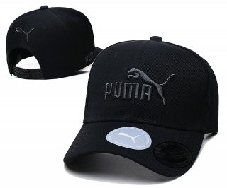 Puma hat 2