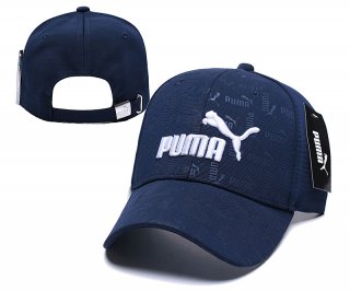 Puma hat 9