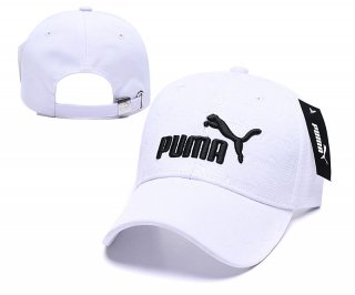 Puma hat 10