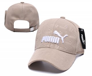 Puma hat 12
