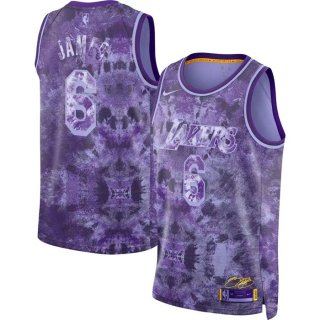 Men's Los Angeles Lakers #6 LeBron James Purple Select Series Stitched Basketball Jersey
