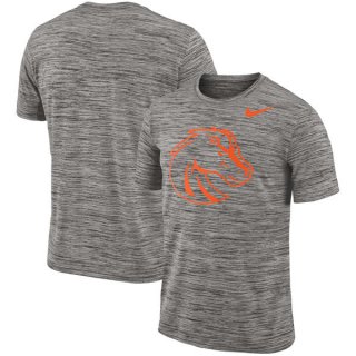 Nike-Boise-State-Broncos-2018-Player-Travel-Legend-Performance-T-Shirt