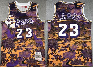 Los Angeles Lakers #23 LeBron James Purple Yellow Throwback Basketball Jersey