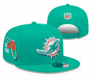 Miami Dolphins 312129