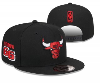 Chicago Bulls 101273