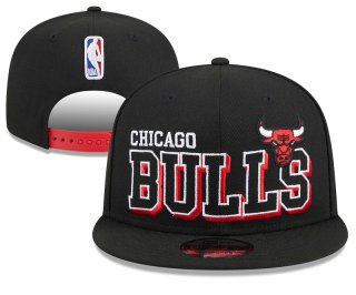 Chicago Bulls 101269