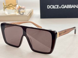 DG Glasses (5)981040