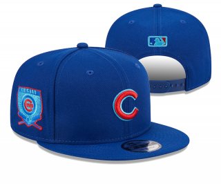 Chicago Cubs 20446