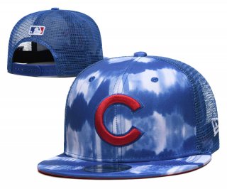 Chicago Cubs 20437