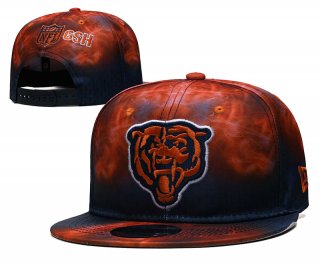 Chicago Bears 303107