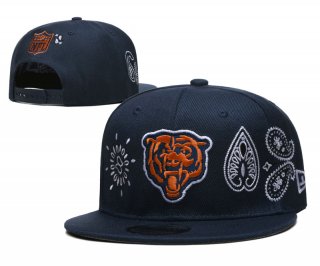 Chicago Bears 303112