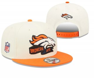 Denver Broncos 306149