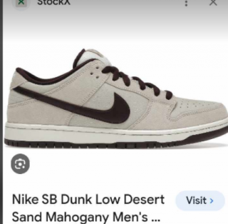 Nike SB low desert sand shoes