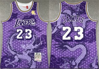 Los Angeles Lakers #23 LeBron James Purple 2018-19 Throwback Basketball Jersey